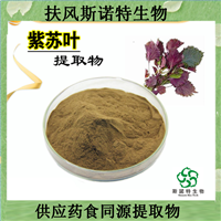 斯诺特生物 供应紫苏叶提取物10:1 紫苏叶粉 水溶性 棕黄色粉末