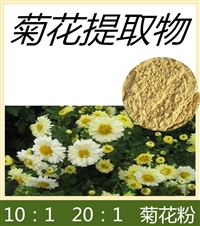 菊花提取物 速溶粉 食品级原料