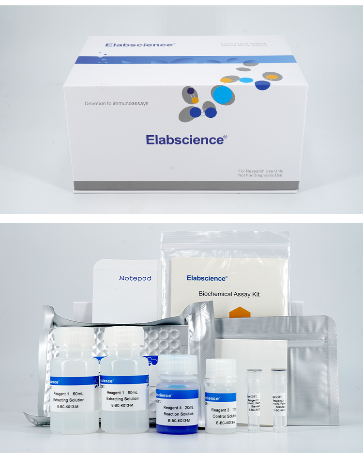 总胆红素tbil比色法测试盒