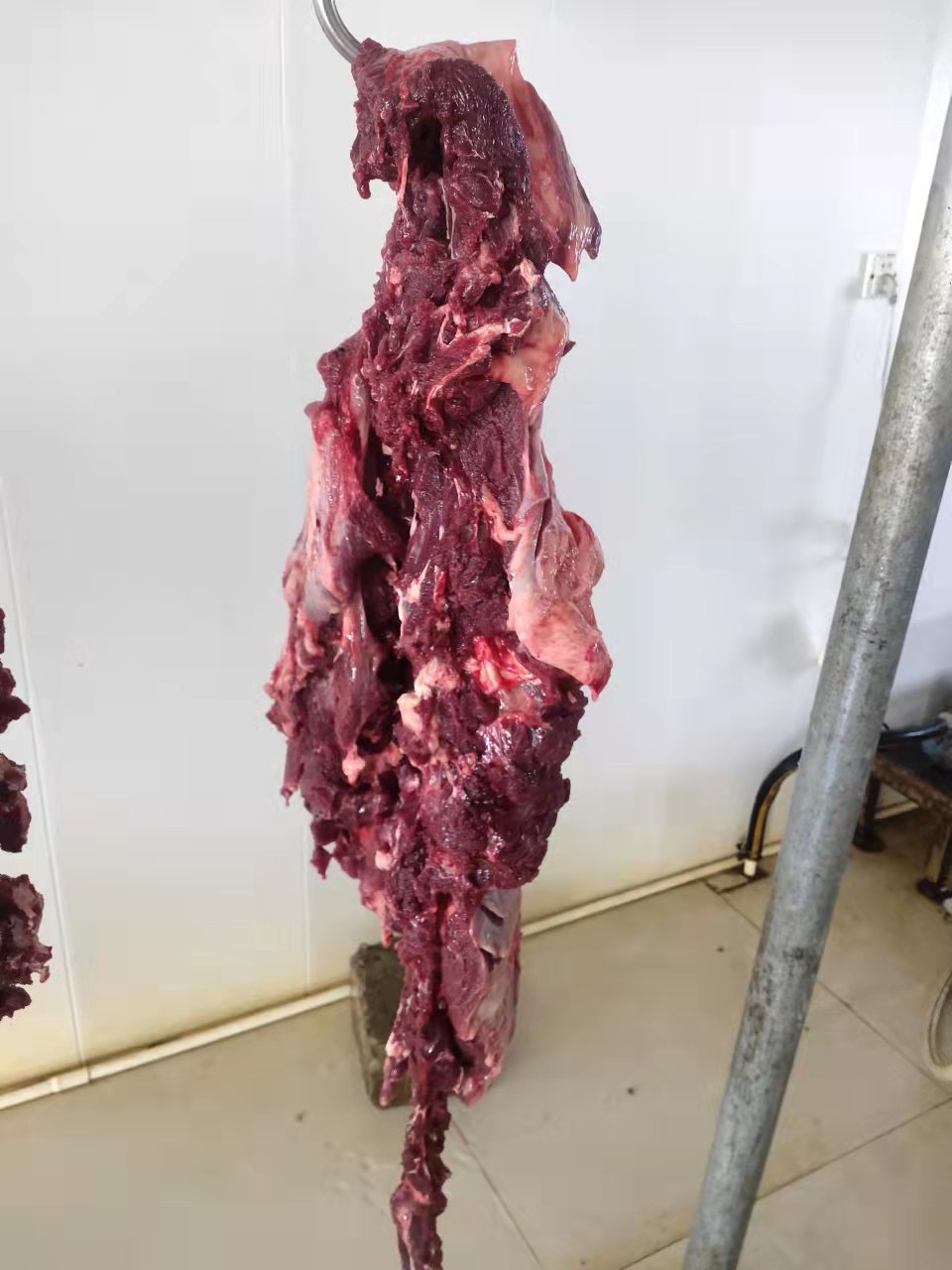 浙江大型驴肉批发市场 驴肉批发厂家直供 全国发货 拴嘴驴