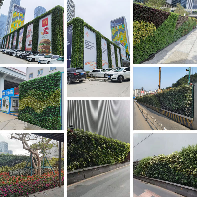 植物墙围挡公司梅州植物围蔽厂家