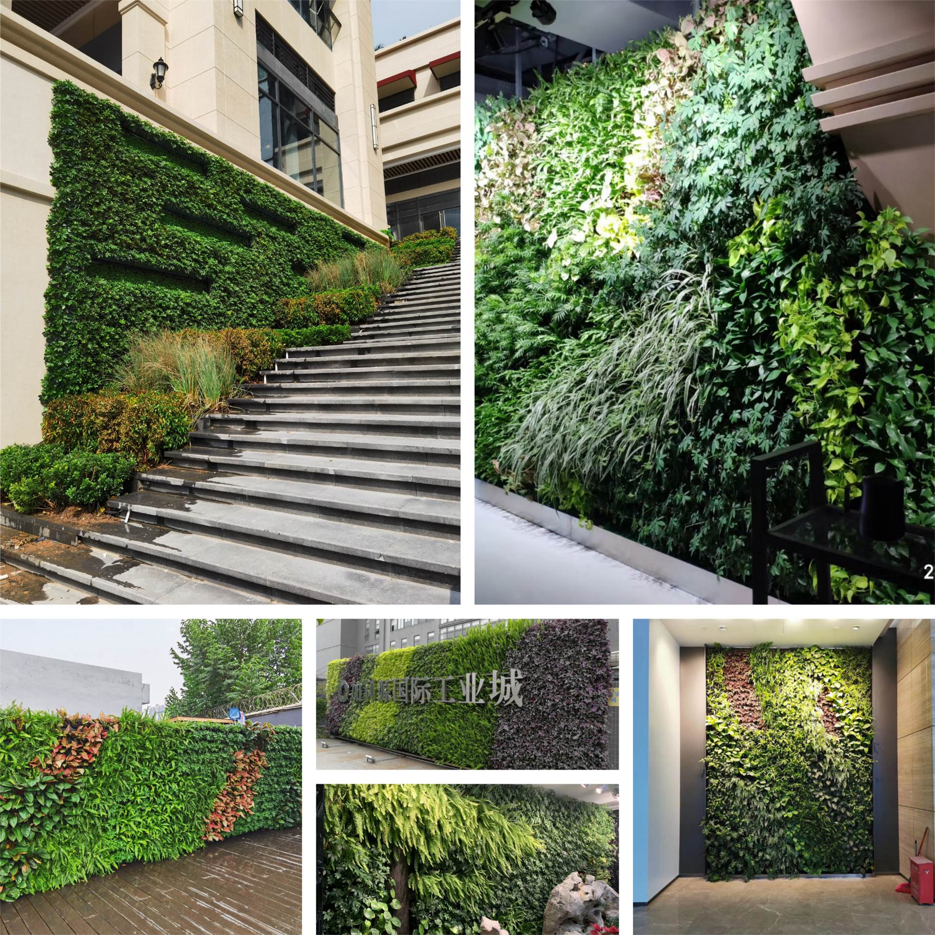 办公室绿植墙梅州生态植物墙