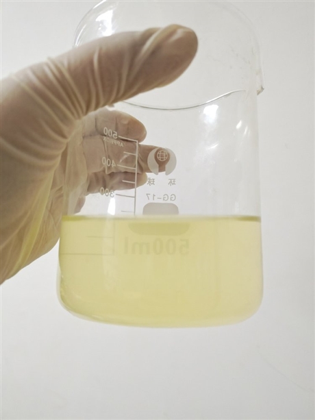 斯诺特生姜提取物   水溶性好    含姜辣素  浓缩粉 80目