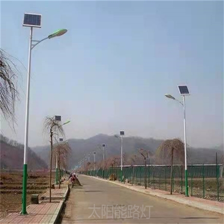 定制户外LED路灯 