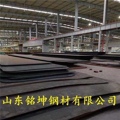 江蘇省泰州市普板歡迎視察