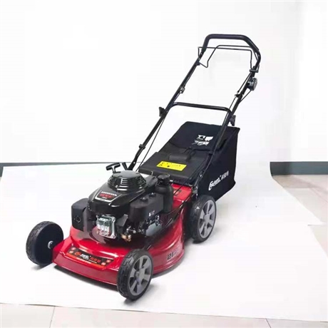 推草機(jī)48V手推式剪草機(jī)電動(dòng)草坪機(jī) 家用割草機(jī)20