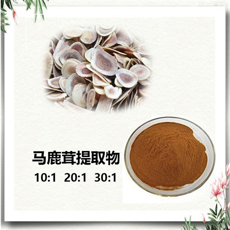 動(dòng)物提取物   多肽   多糖