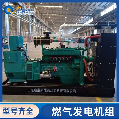 石油液化氣發(fā)電機(jī)組  智能化控制啟停   廢物回收再利用   全銅無刷發(fā)電機(jī)