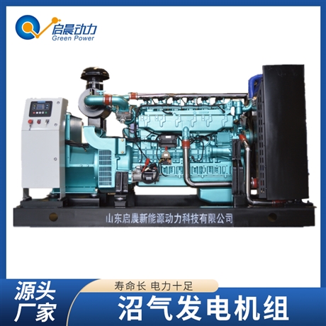 石油液化氣發(fā)電機(jī)組    智能化控制啟停源頭廠家   性能穩(wěn)定噪音小
