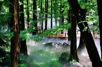四川众策山水环保科技 喷雾造景 喷雾降温系统