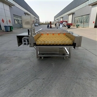 新式樱桃清洗机 胶州蓝莓气泡清洗机 草莓清洗机厂商