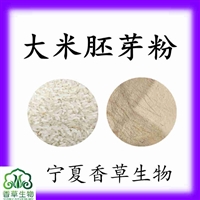 大米胚芽粉100目 大米胚芽提取物 大米膳食纤维粉