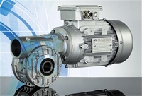 意大利SITI蜗轮蜗杆减速机