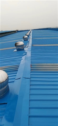 吉林彩钢瓦厂房屋顶改色翻新服务商  输煤桥除锈防腐刷油漆