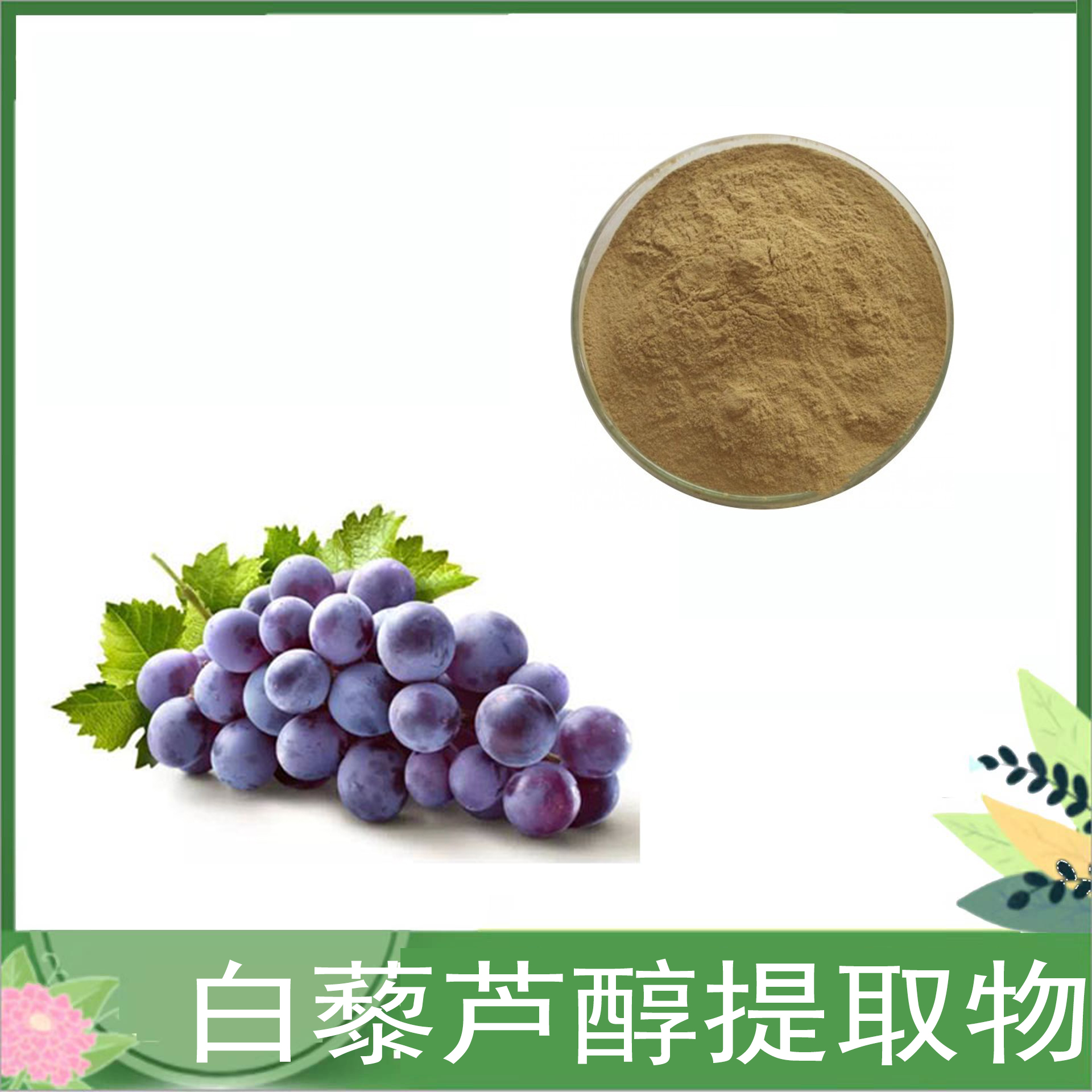 白藜芦醇提取物浸膏多糖药食同源