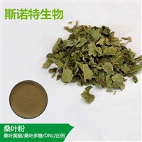 桑叶粉 桑叶提取10:1    黄酮 可定制 斯诺特生物SC药食同源厂