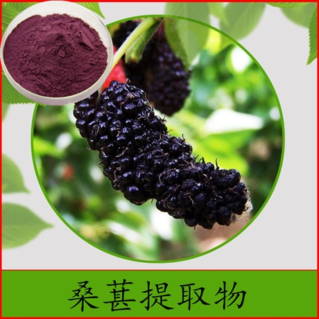 桑葚提取物 20：1花青素 桑葚精华粉 桑葚果浓缩粉 水溶