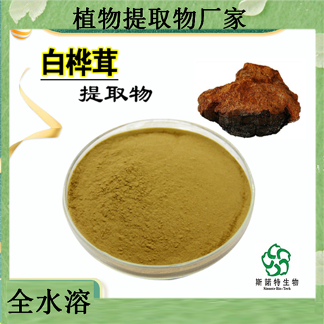 白桦茸提取物白桦茸多糖60%俄罗斯舞茸精华粉末 桦褐孔菌提取物
