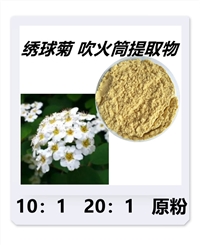 吹火筒提取物 尖叶绣线菊原粉 速溶粉