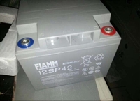 武汉非凡蓄电池FIAMM 12SP42非凡蓄电池12V42AHUPS/EPS电源，太阳能光伏发电蓄电池