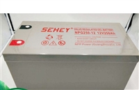 西力蓄电池NPG250-12 12V250AH UPS EPS电源配套