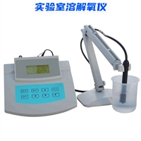 RY-6579型 实验室溶解氧测定仪 台式溶氧仪