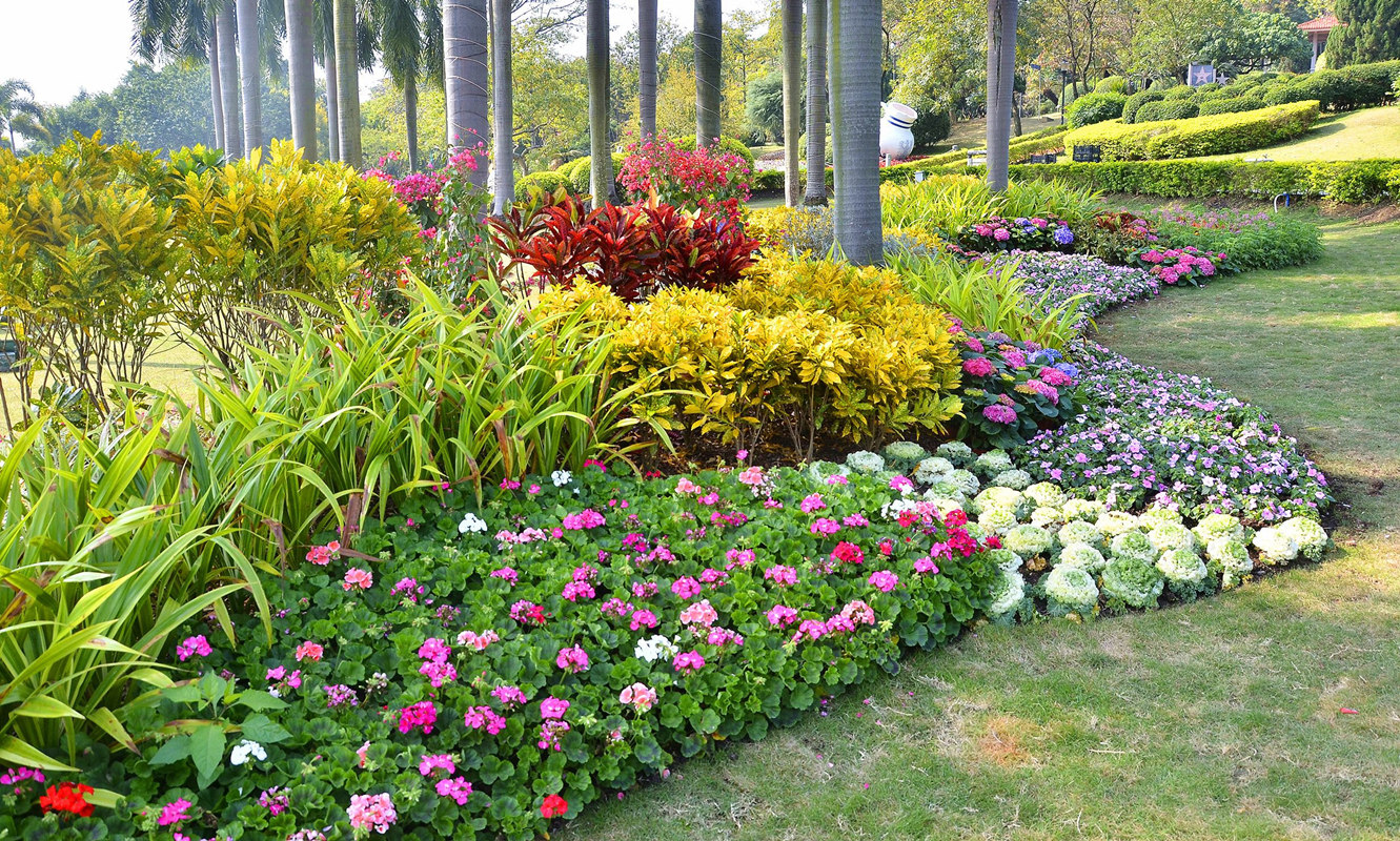 防辐射的盆栽植物