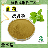 薄荷提取物 薄荷粉  野薄荷/银丹草SC植提原料  水溶性
