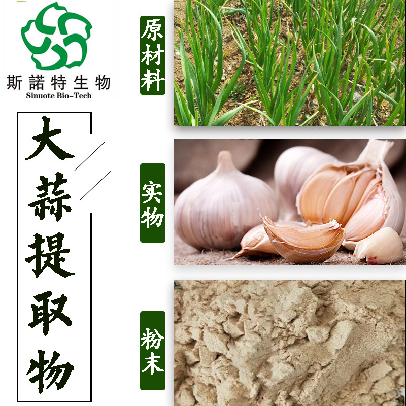 大蒜浓缩粉 提取物  水溶   可定制  80目 100目 斯诺特生物