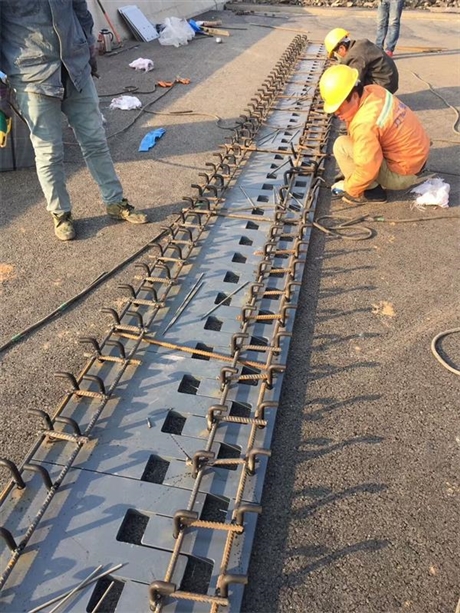 安阳40型桥梁伸缩缝胶条