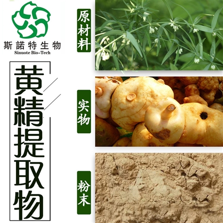 黄精粉 黄精提取物 黄精多糖60% 浓缩浸膏粉   斯诺特生物