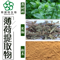 薄荷提取物 50:1薄荷粉多糖浓缩粉水溶粉薄荷比例提取