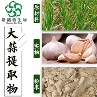大蒜浓缩粉 提取物  水溶   可定制  80目 100目 斯诺特生物