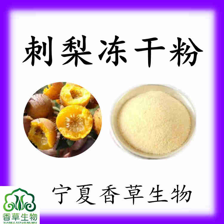 刺梨冻干粉100目冻干刺梨粉刺梨果汁粉