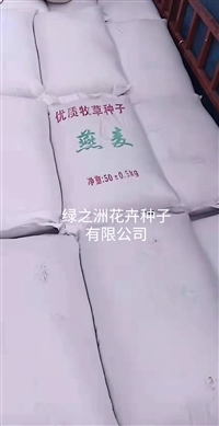 黑麦草种子怎么发货