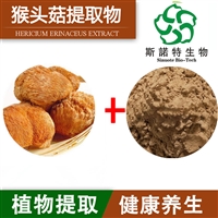 猴头菇粉 提取物   多糖  浓缩粉 水溶粉 斯诺特生物