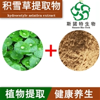 积雪草提取物 比例提取物 积雪草苷 可定制 斯诺特生物