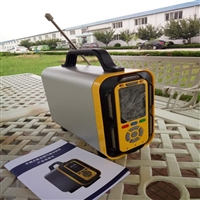 复合气体检测仪 任意组合气体