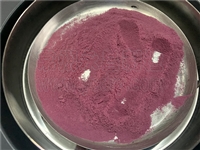 速溶蓝莓粉喷雾干燥机-速溶蓝莓粉加工设备-永昌制粒