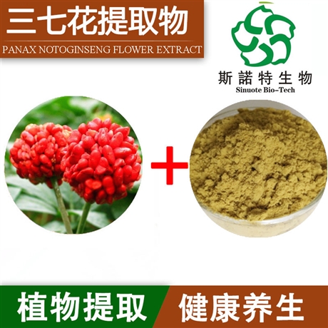 三七花提取物  浓缩粉末 植物提取 速溶 斯诺特生物