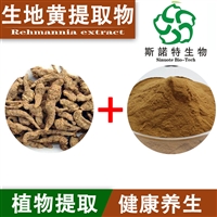 生地黄提取物 植物提取物  浓缩粉 浸膏粉 水溶植物