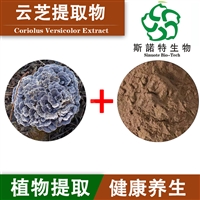 云芝提取物粉 120目 植物提取物 灰白云芝粉提取物