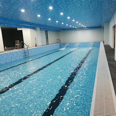 儿童游泳池厂家供应健身房钢结构培训泳池工程建造