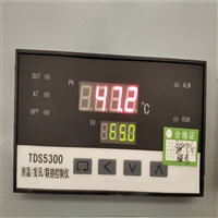 机组测温屏温度表TDS5321-AAE-ZH智能温度控制仪