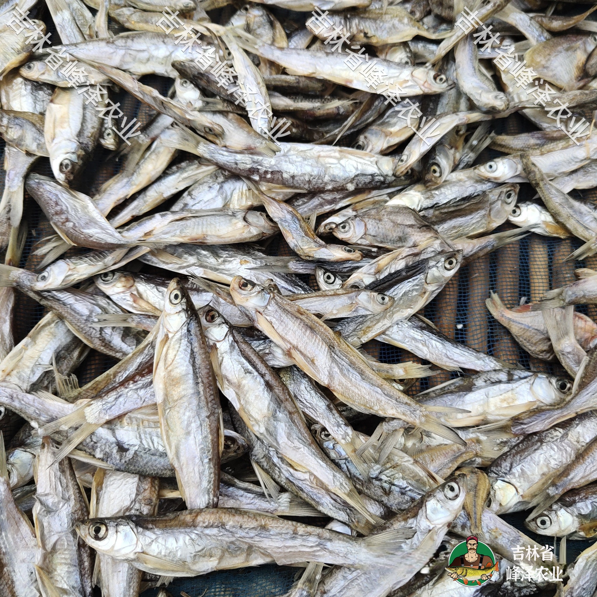 淡水小鱼干干货批发东北小鱼干产地厂家散装小河鱼干加工厂