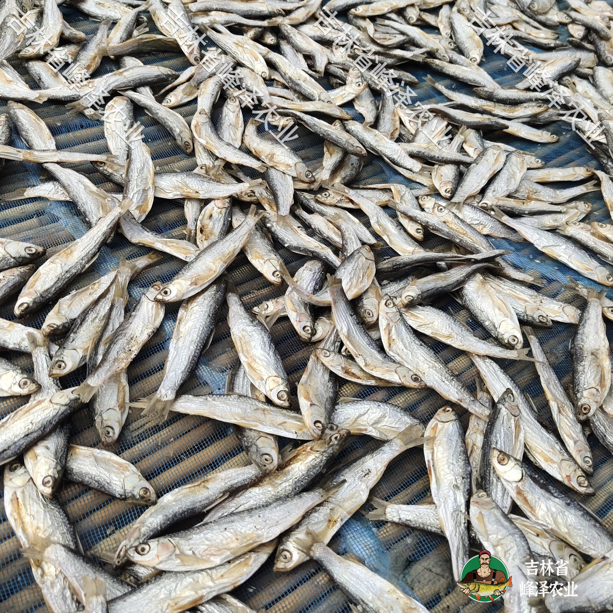 淡水小鱼干干货批发东北小鱼干产地厂家散装小河鱼干加工厂