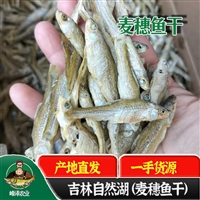 大量批发淡水麦穗鱼干，油炸小鱼干产地供应，生晒风干咸鱼干货源