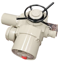 江苏贝尔  整体型电动执行器 DZW10-18W