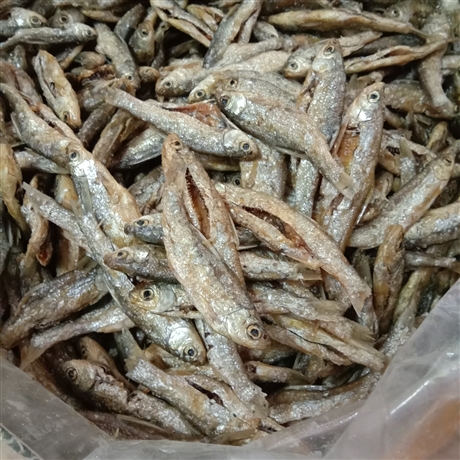 小杂鱼干货批发市场油炸鱼干小河鱼干精品无盐油炸鱼干