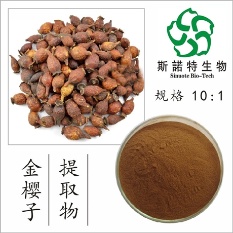 金樱子提取物10:1 刺榆子山石榴浓缩粉  斯诺特生物
